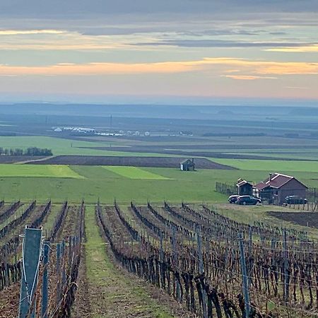 Kuca Za Odmor Kiss-Karanac,Baranja Villa Exteriör bild