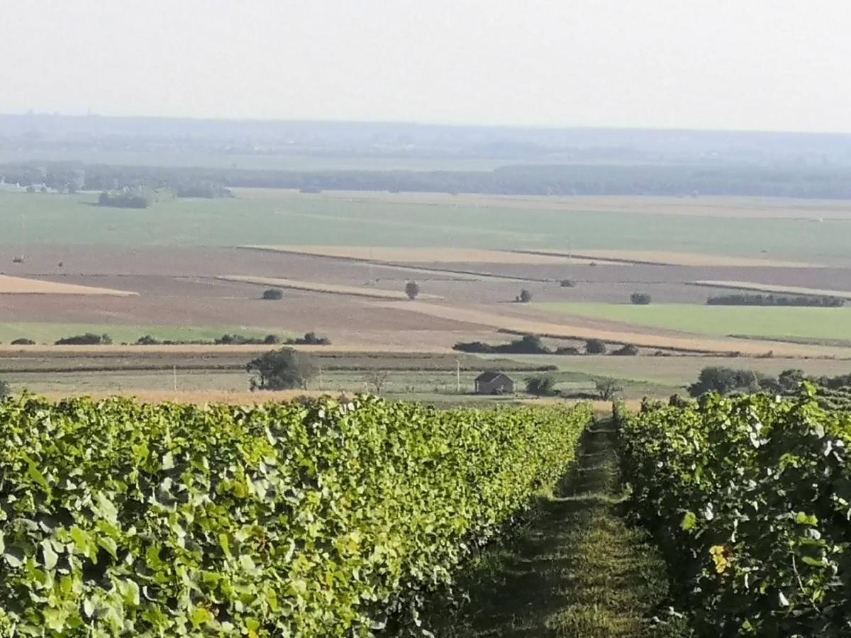Kuca Za Odmor Kiss-Karanac,Baranja Villa Exteriör bild