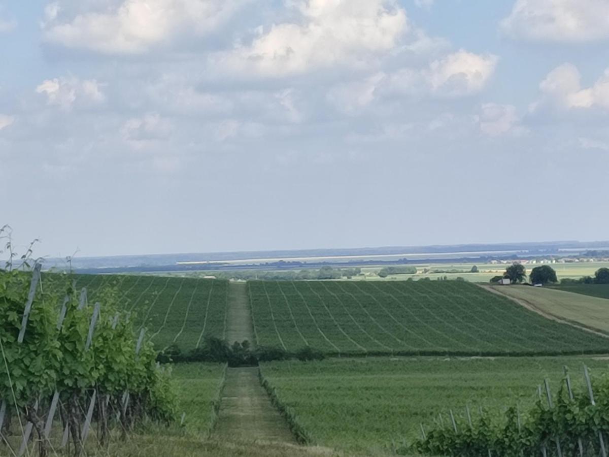 Kuca Za Odmor Kiss-Karanac,Baranja Villa Exteriör bild